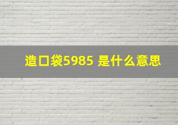 造口袋5985 是什么意思